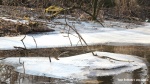 Zamrzlá řeka